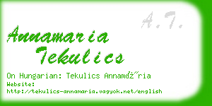 annamaria tekulics business card